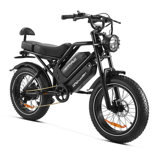 Happyrun 2025 HappyRun 2000W Dual Battery Fast Electric Cargo Bike - G70
