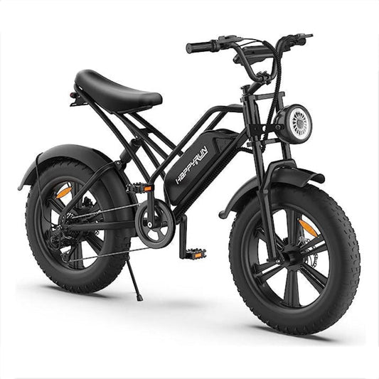 Happyrun Electric Bike Fat Tire Cargo City E-bike - G50