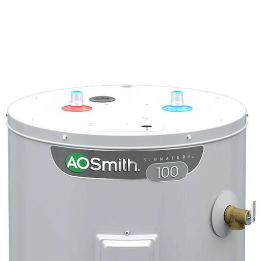 A.O. Smith Signature 100 40-Gallon Tall 4500-Watt Double Element Electric Water Heater -Item #816154 | Model #E6-40H45DV