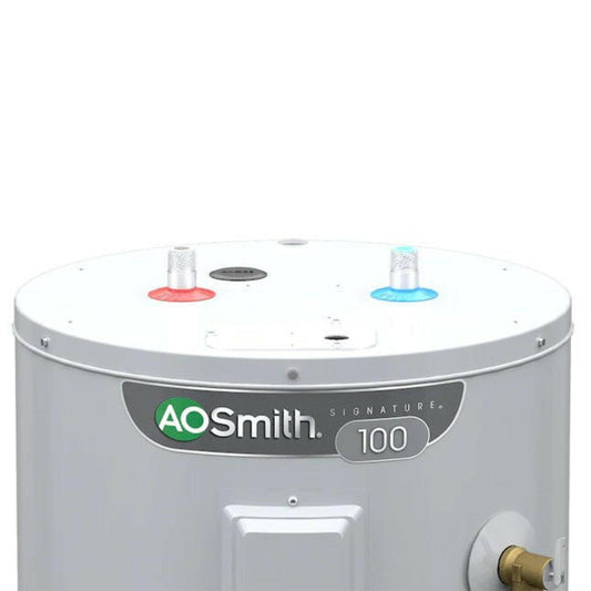A.O. Smith Signature 100 40-Gallon Short 4500-Watt Double Element Electric Water Heater - Item #816158 | Model #E6-40R45DV