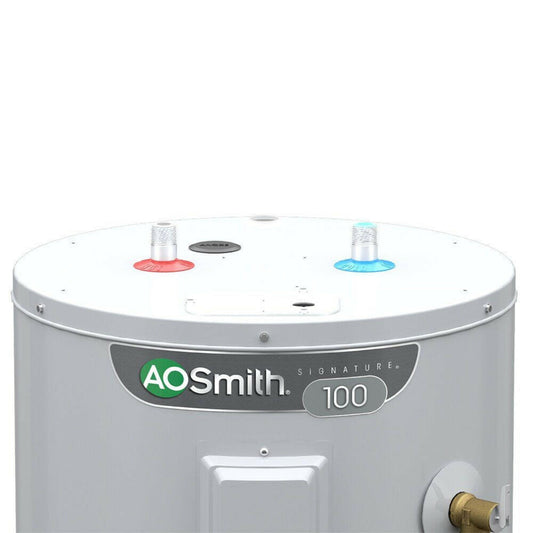 A.O. Smith Signature 100 30-Gallon Short 6-year Limited 32000-BTU Natural Gas Water Heater - G6-S3032NVR