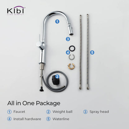 Kibi Hilo Single Handle High Arc Pull Down Kitchen Faucet in Chrome Finish - KKF2008CH