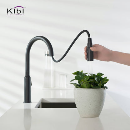 Kibi Hilo Single Handle High Arc Pull Down Kitchen Faucet in Matte Black Finish - KKF2008MB