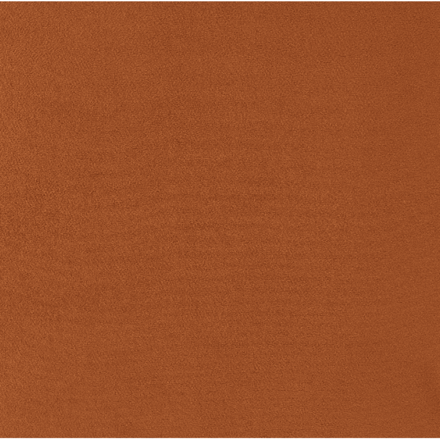 New Pacific Direct Arianna Velvet Fabric Accent Arm Chair 1900183-565 - 1900183-565