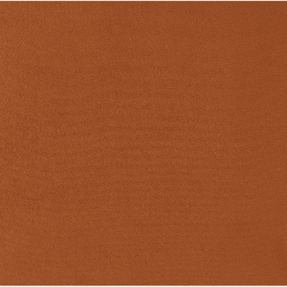 New Pacific Direct Arianna Velvet Fabric Accent Arm Chair 1900183-565 - 1900183-565