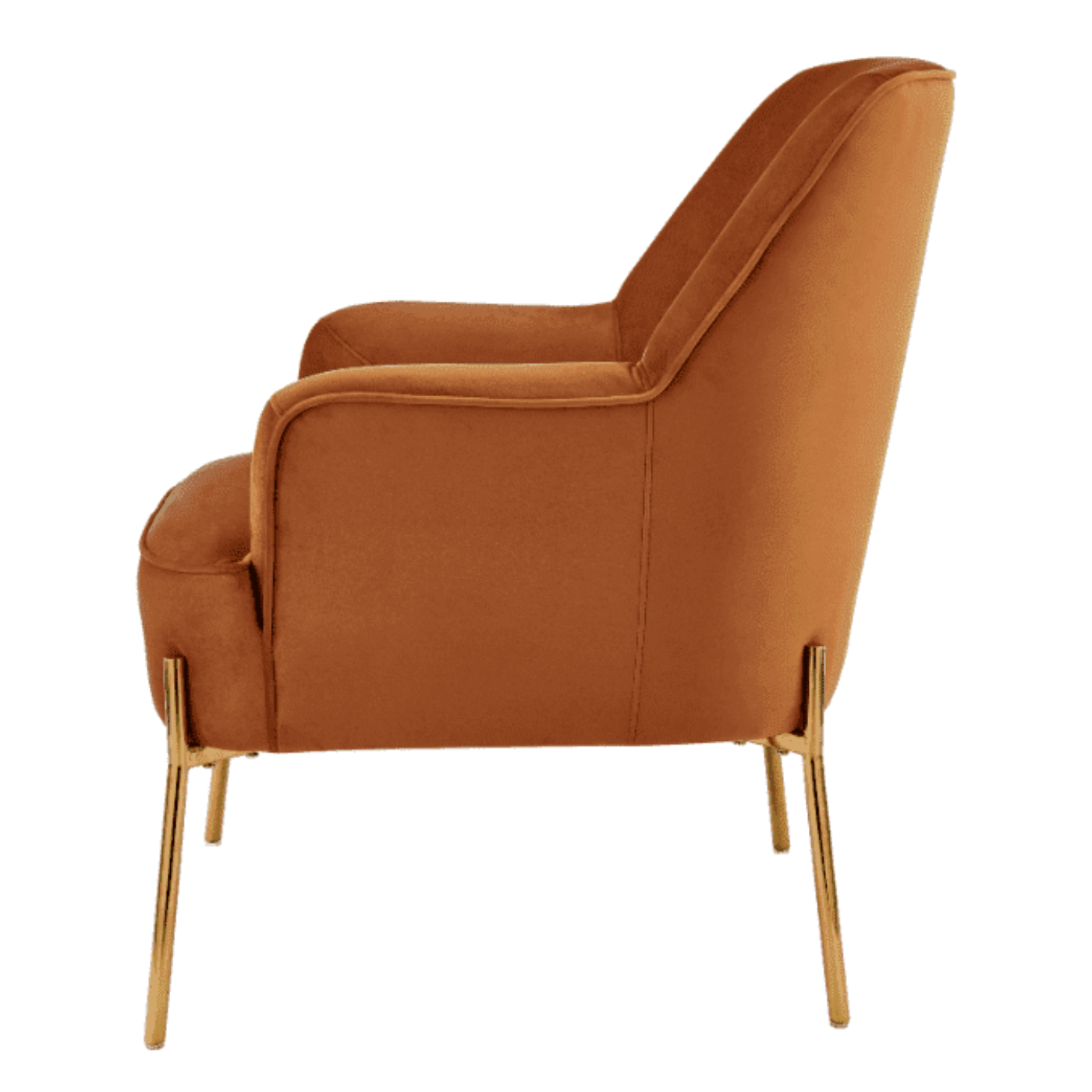 New Pacific Direct Arianna Velvet Fabric Accent Arm Chair 1900183-565 - 1900183-565