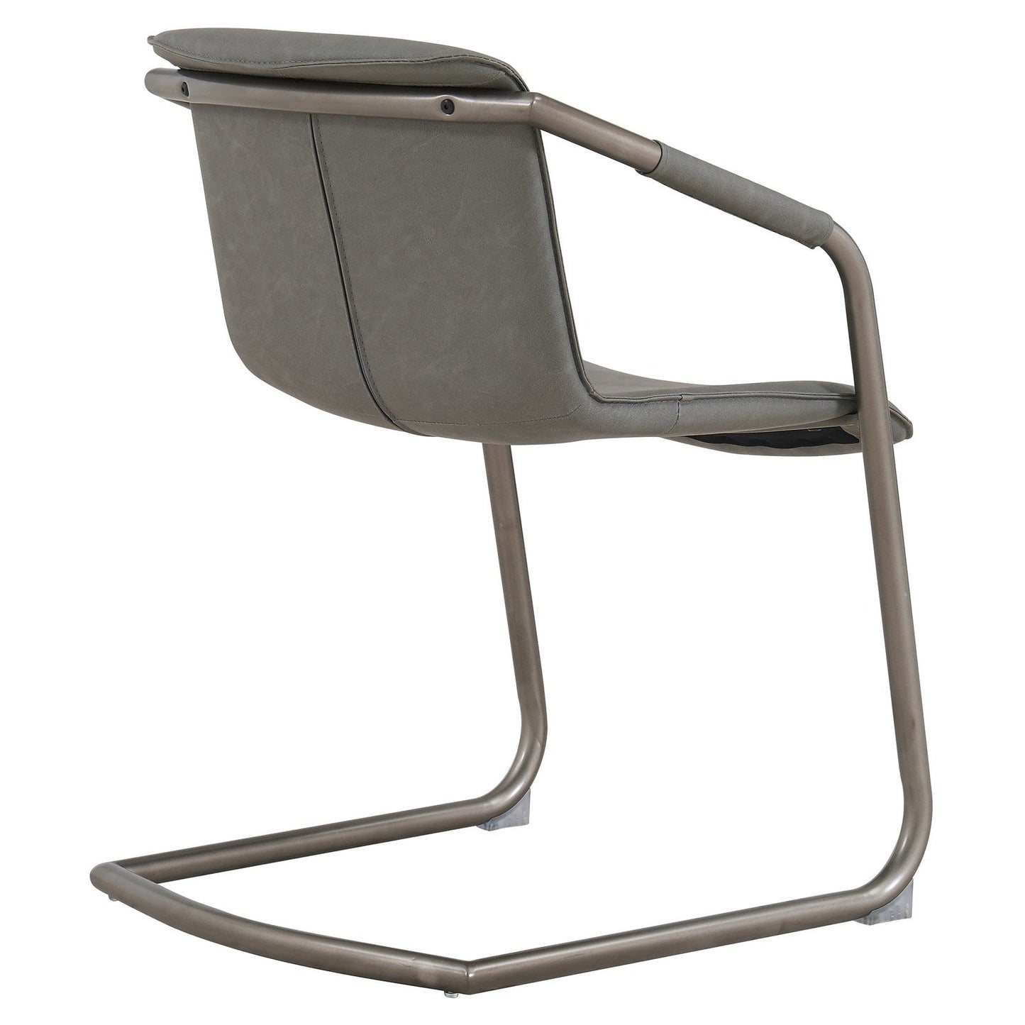 New Pacific Direct Indy PU Side Chair, (Set of 2) -  1060007-216